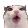 Crunch emote