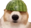 tah emote