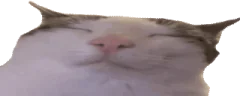 plinkVibe emote