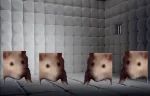 CrazyIWasCrazyOnceTheyLockedMeInARoomARubberRoomARubberRoomFilledWithRatsAndRatsMakeMeCrazy emote