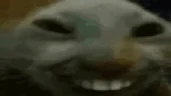 fdding emote