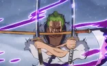 zoro emote