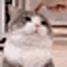 iidiot emote