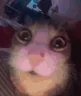 ouh emote