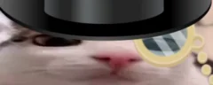 plynque emote