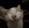 ehehe emote