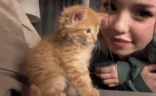 catkiss emote