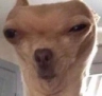 aha66 emote