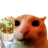 CatKebab emote