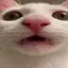 HUHH emote