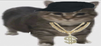 Sztosik emote