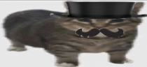 dzentelmenik emote