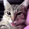 rizz emote