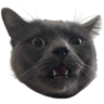 wot emote