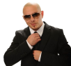 pitbull emote