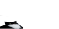 smallboobs emote