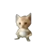 bibi emote
