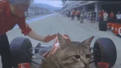 RACING emote