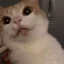 LilyHug