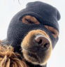 RobbDog emote