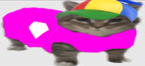 vipik emote