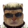 WHISKERS emote