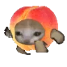peachcat emote