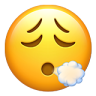 poah emote