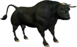 TORO emote