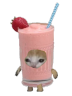 smoothieCat emote
