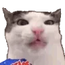 veryCrunch emote
