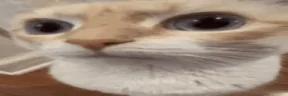 UUH emote