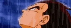 VegetaRain emote
