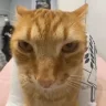 juh emote