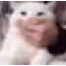 prefiromeabster emote