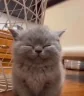 :3 emote