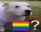 gay