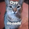 oyenonada emote