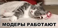 modRabotaet emote