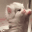 catPaws