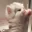 Emote