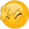 DuVollidiot emote