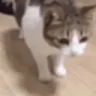 mueltini emote