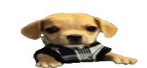 wideBork emote