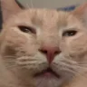 auh emote