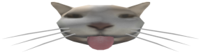 miau emote