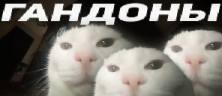 GANDONbI emote