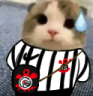corinthians emote