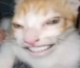 B emote