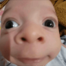 bobao emote